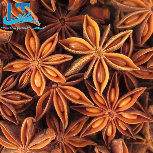 Hoa hồi - Star aniseed